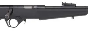 ROSSI RB22 COMPACT 22LR BOLT