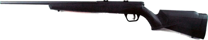 SAVAGE B22F MAGNUM .22WMR 21" - Image 2