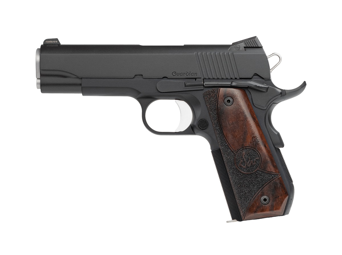 CZ DAN WESSON DW GUARDIAN 38SPR 9+1
